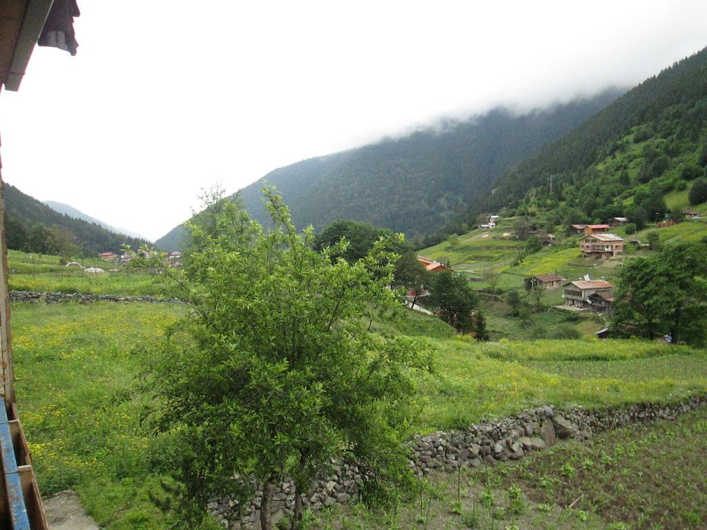 Zeren Pansiyon Kamalac Exterior photo